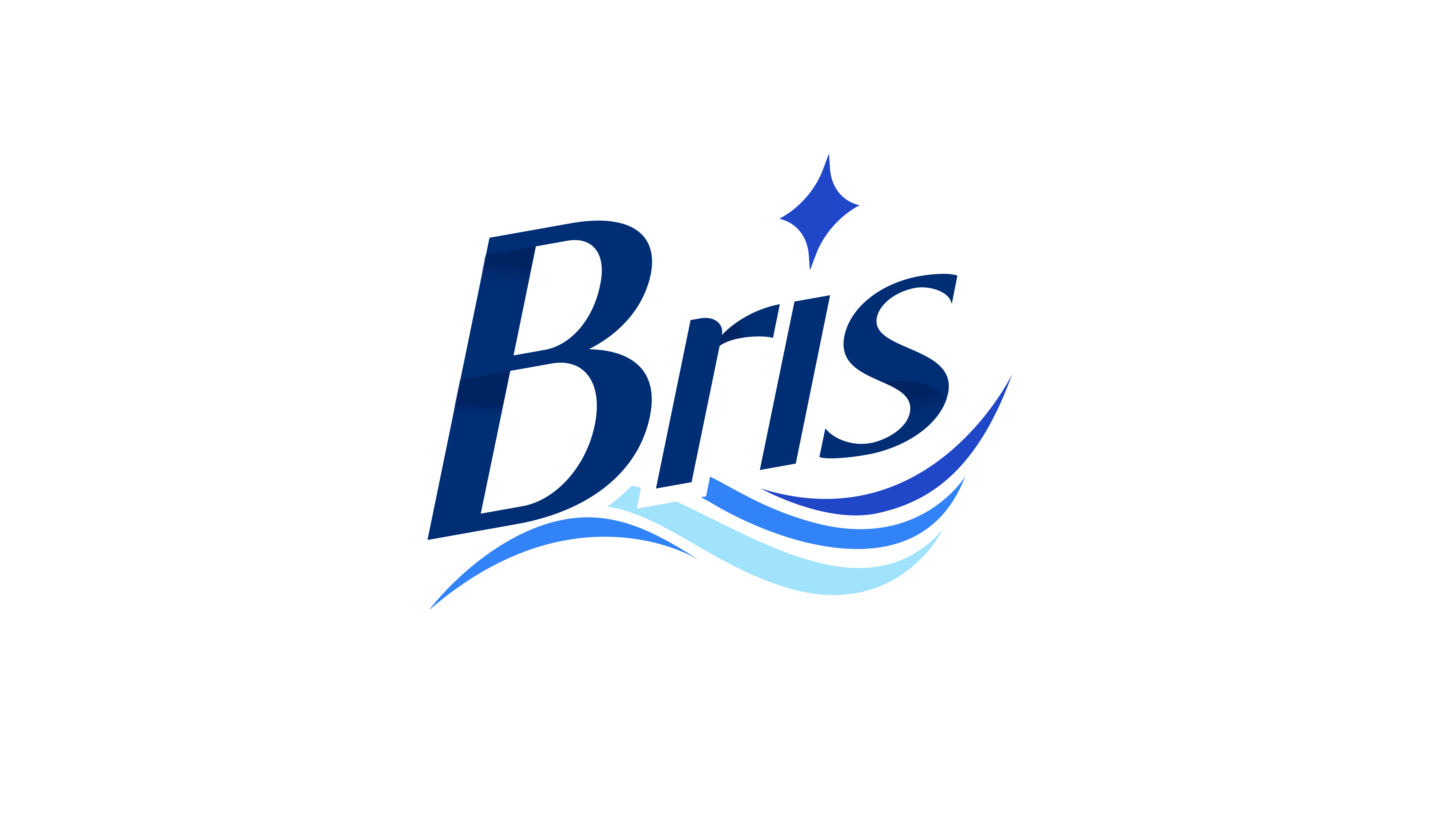 BRIS logo